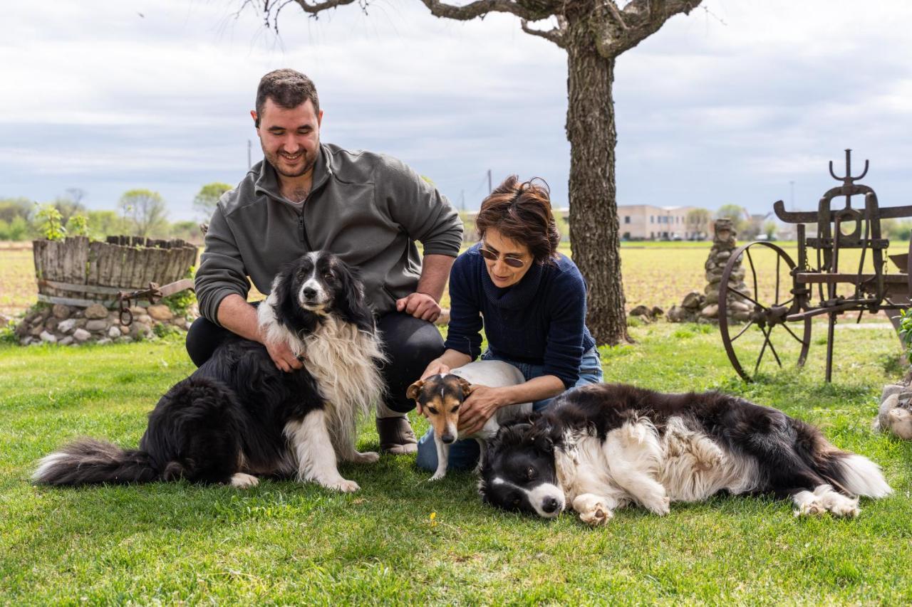 קסטיליונה דלה סטיביירה Agriturismo Pozzo Fiorito מראה חיצוני תמונה