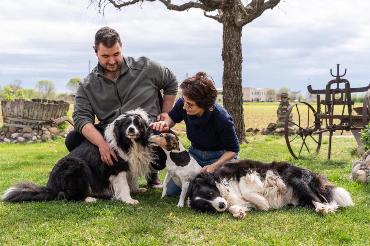 קסטיליונה דלה סטיביירה Agriturismo Pozzo Fiorito מראה חיצוני תמונה