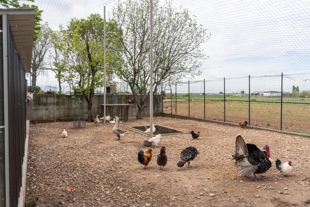 קסטיליונה דלה סטיביירה Agriturismo Pozzo Fiorito מראה חיצוני תמונה