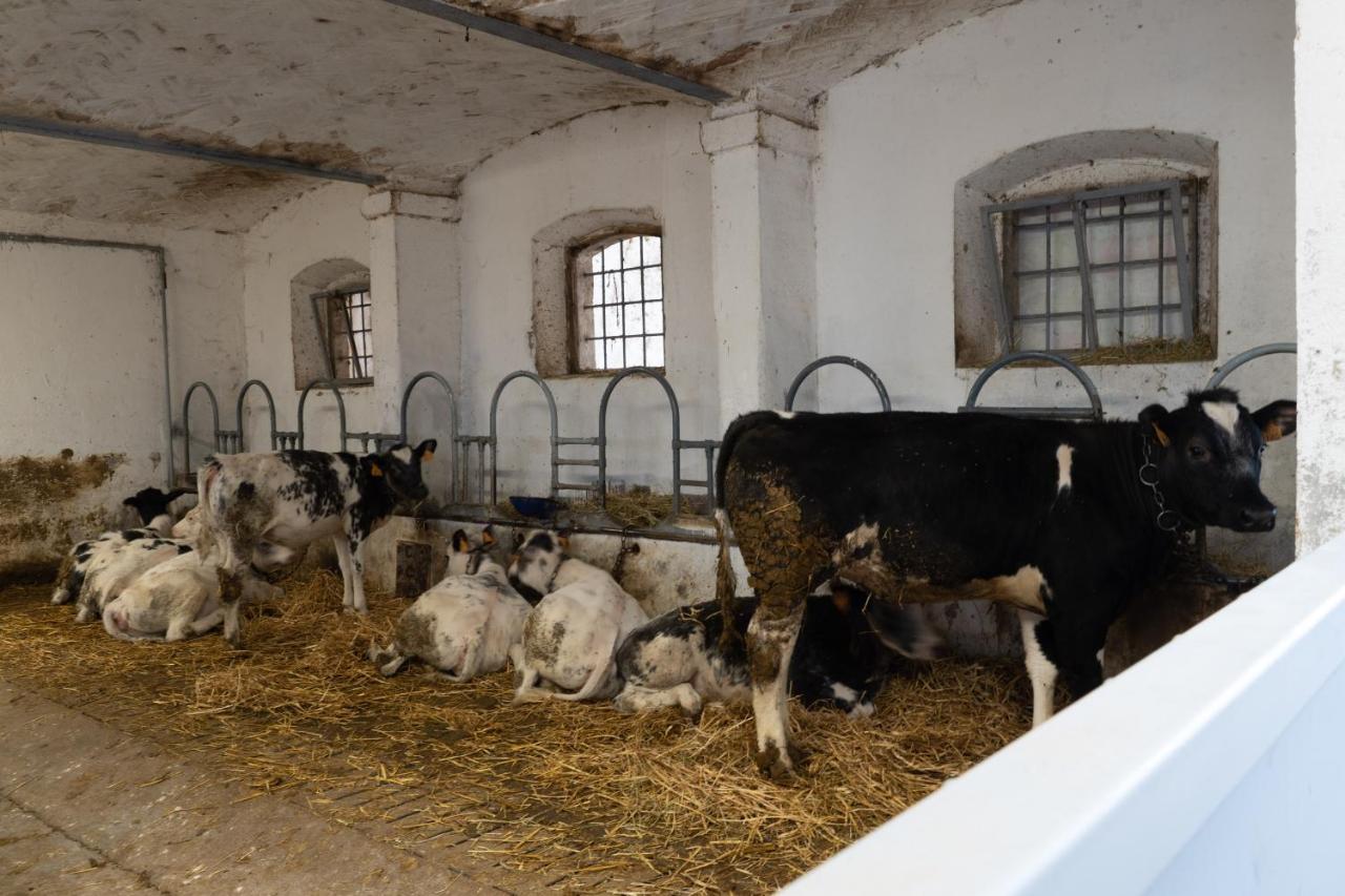 קסטיליונה דלה סטיביירה Agriturismo Pozzo Fiorito מראה חיצוני תמונה